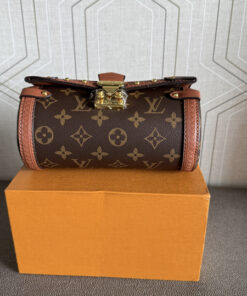 LV Papillon Trunk Bag Type